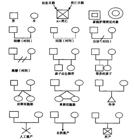 家庭樹意義|家系圖符號 